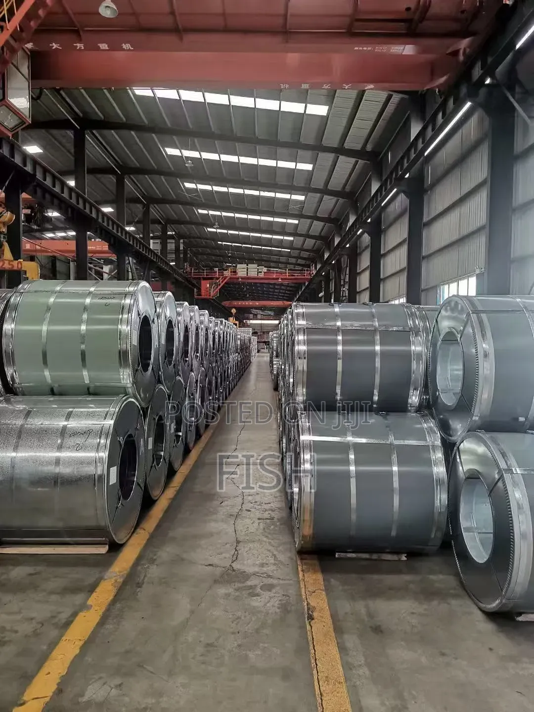 Steel Coil