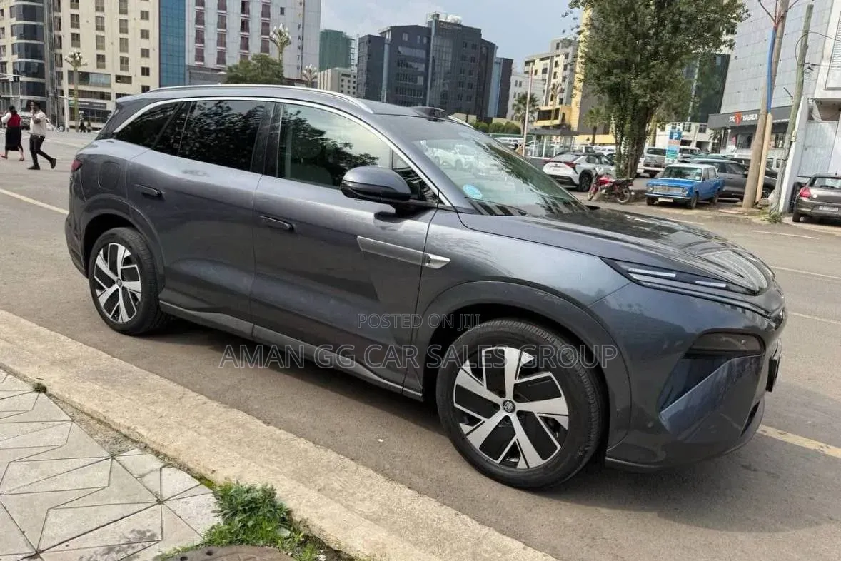 BYD Tang DM-i 2025 Maroon