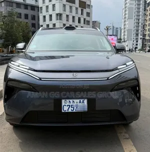 BYD Tang DM-i 2025 Maroon