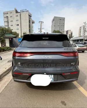 BYD Tang DM-i 2025 Maroon