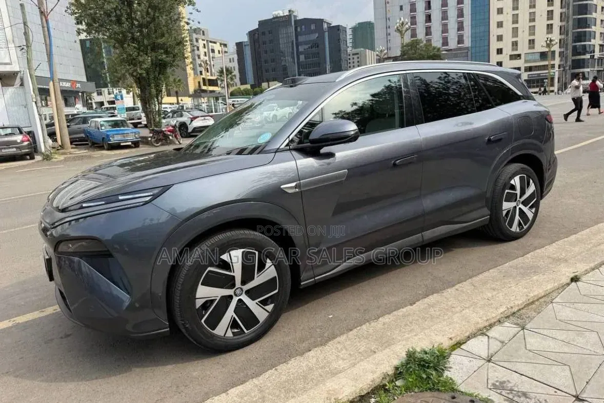 BYD Tang DM-i 2025 Maroon