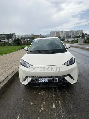 BYD Seagull 2024 White