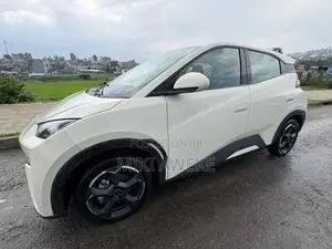 BYD Seagull 2024 White