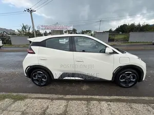 BYD Seagull 2024 White