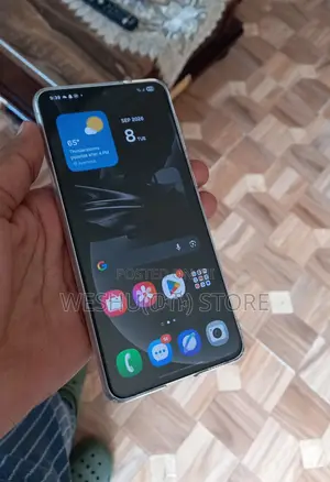 Samsung Galaxy S21+ 5G 256 GB Silver