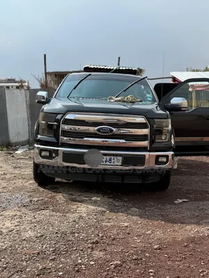 Ford F-150 2014 Gray