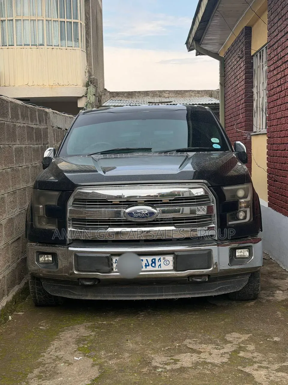 Ford F-150 2014 Gray