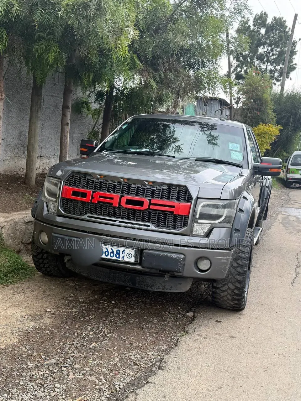 Ford F-150 2017 Gray
