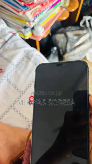 Apple iPhone 12 Pro Max 256 GB Graphite