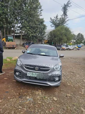 Suzuki Celerio 2022 Silver