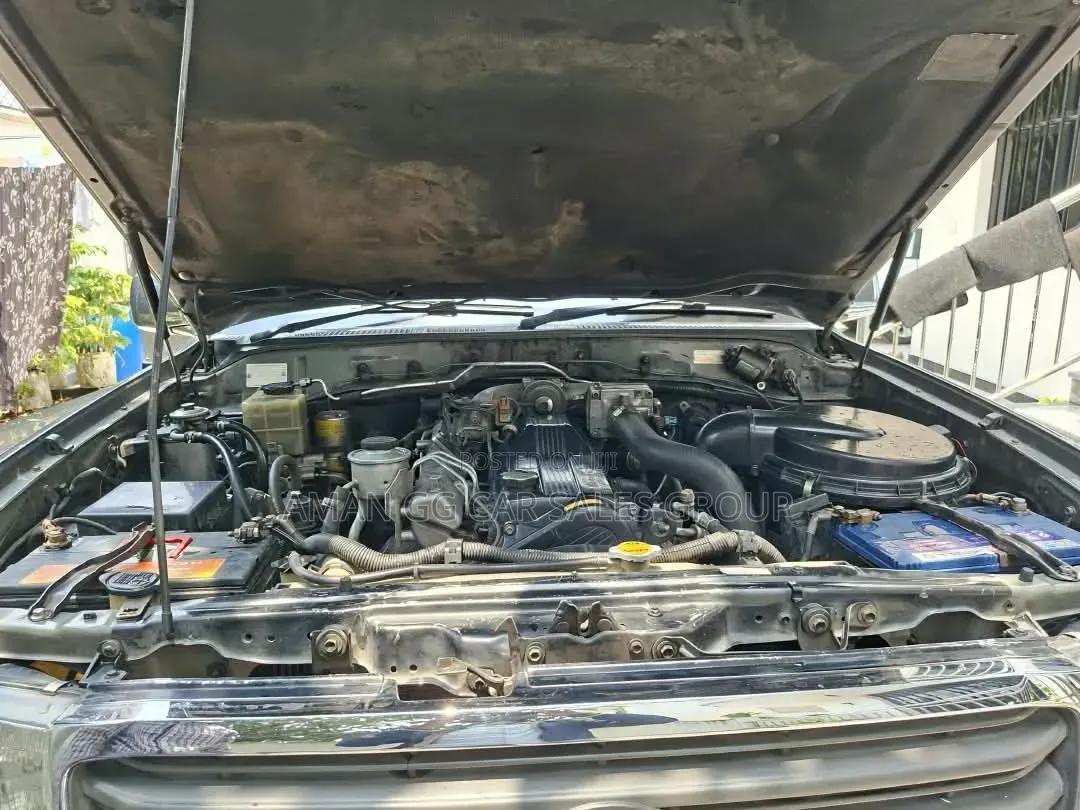 Toyota Land Cruiser 2001 Gray