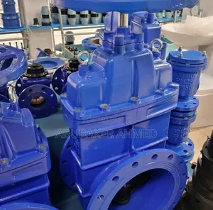 Gate Valve