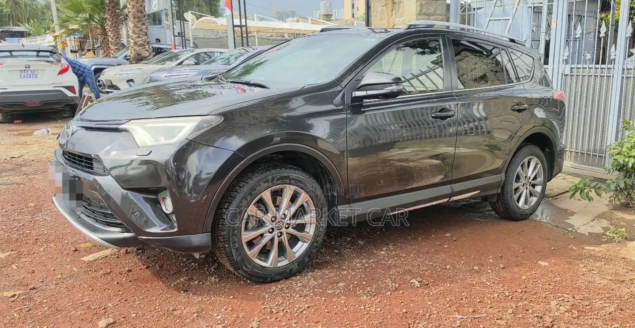 Toyota RAV4 2017 Gray