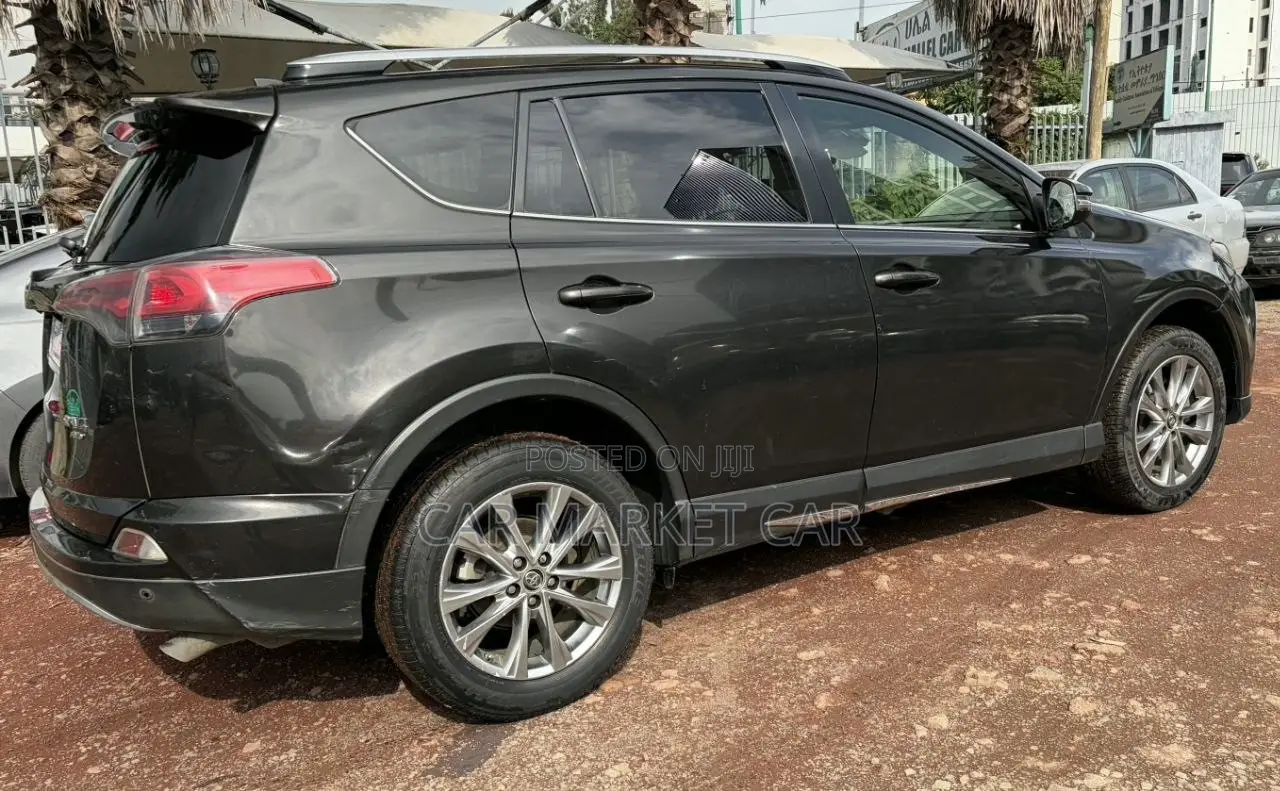 Toyota RAV4 2017 Gray