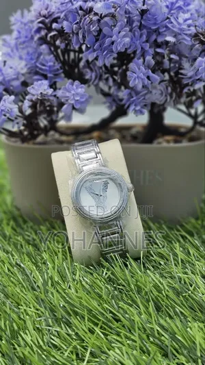 Silver Color Watches