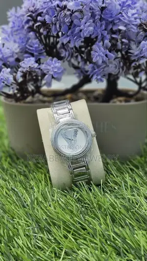 Silver Color Watches