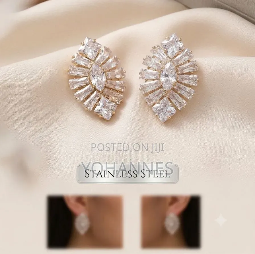 Stainless Steel Earrings
