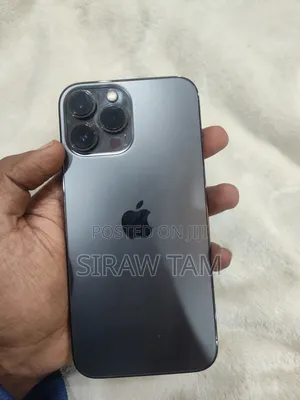 Apple iPhone 13 Pro Max 256 GB Gray