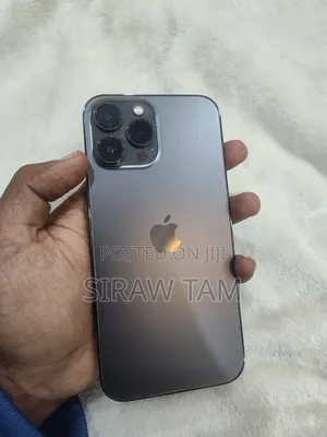 Apple iPhone 13 Pro Max 256 GB Gray