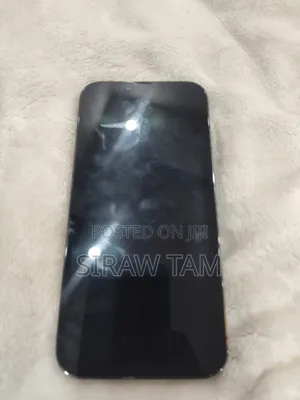 Apple iPhone 13 Pro Max 256 GB Gray