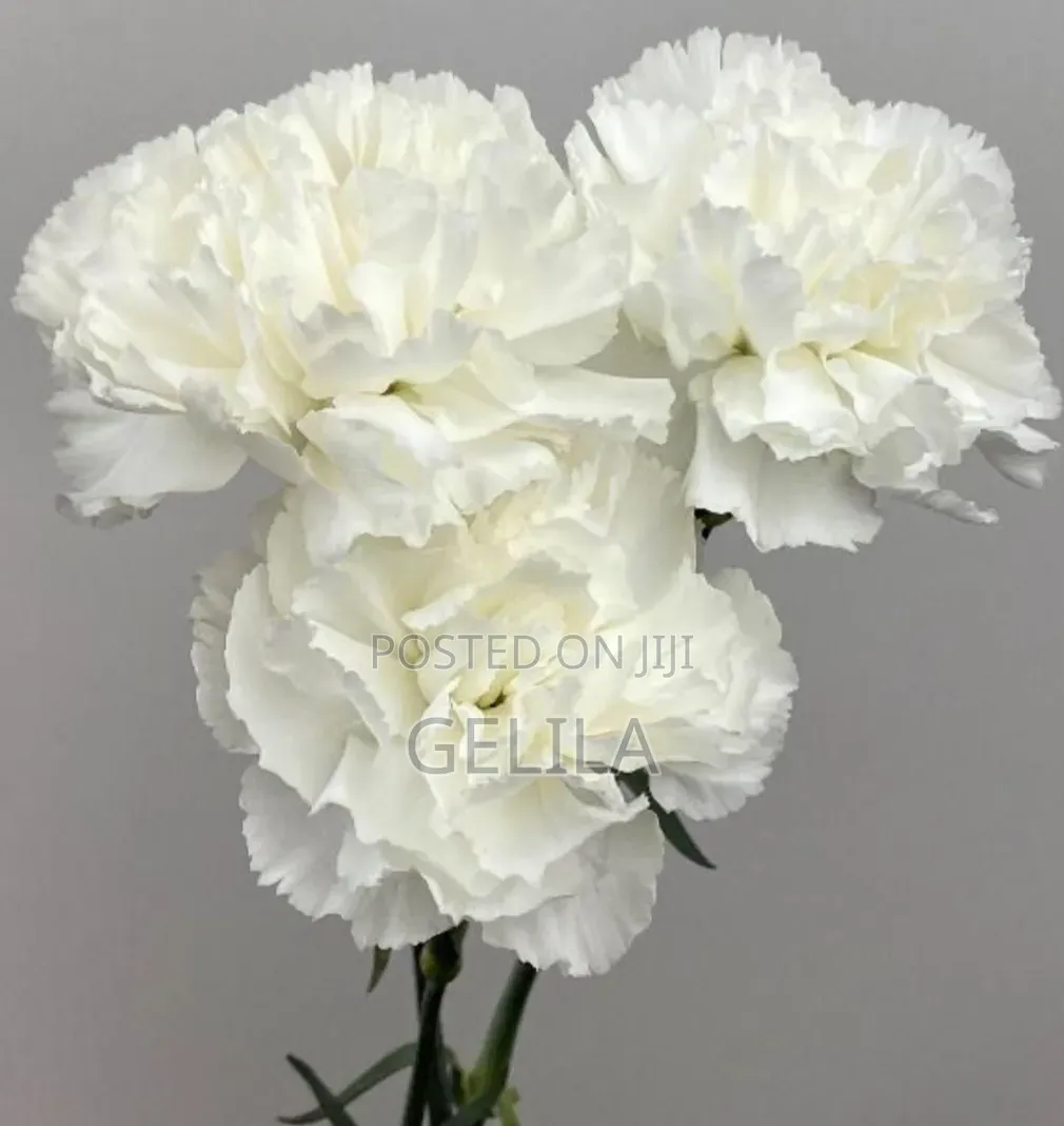 Decor Materials for Sale