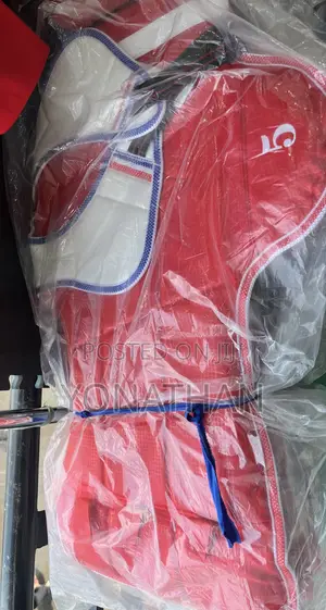 Teakwando Protective Gear