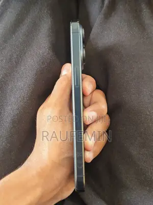 Apple iPhone 15 Pro Max 256 GB Black