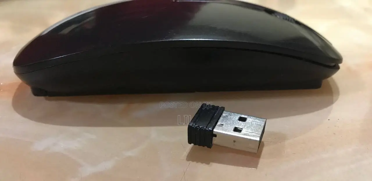 PC Mouse 2.4Hz