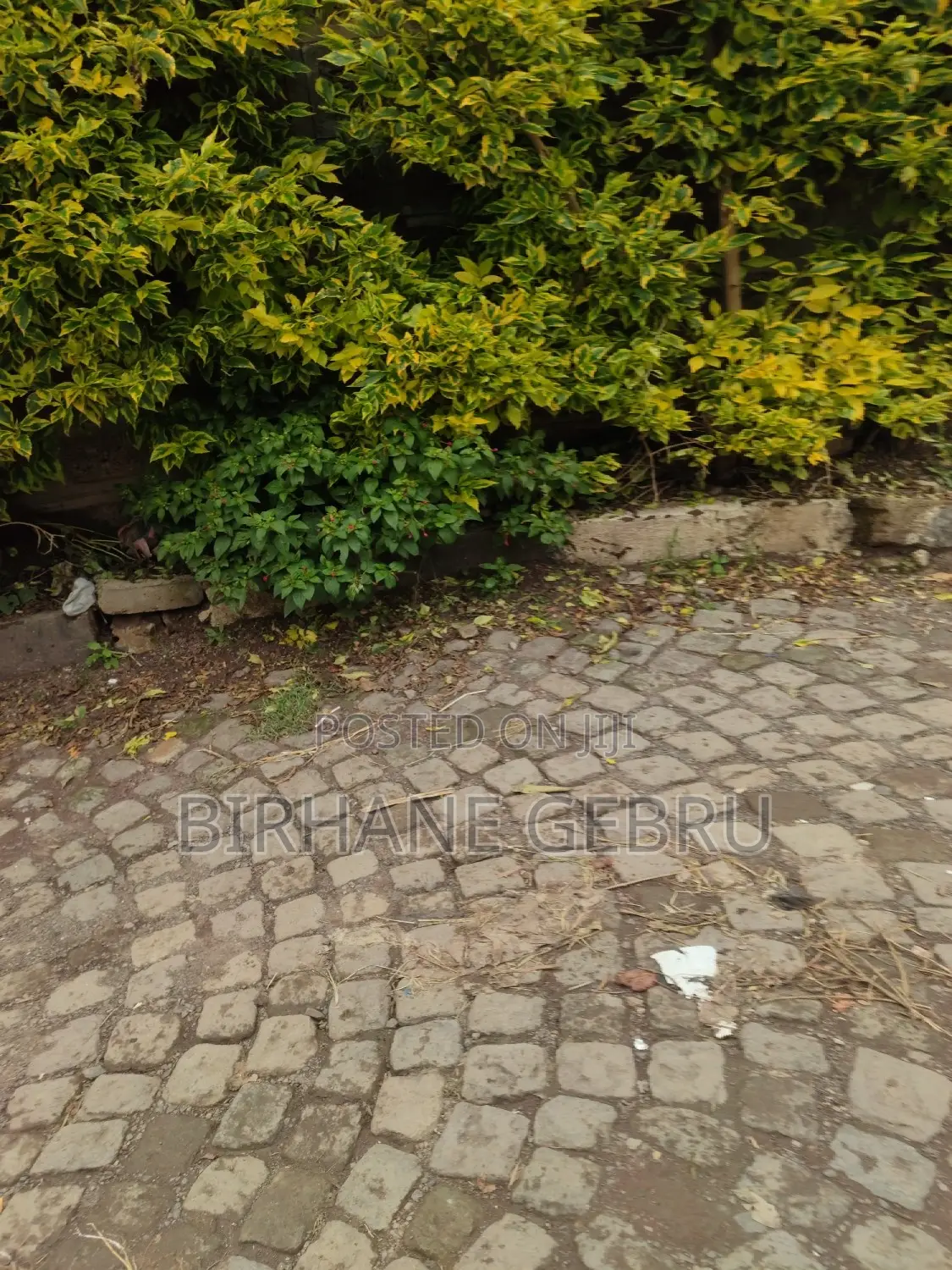 7bdrm Villa in Vila, Bole for sale