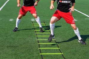 Football Ladder