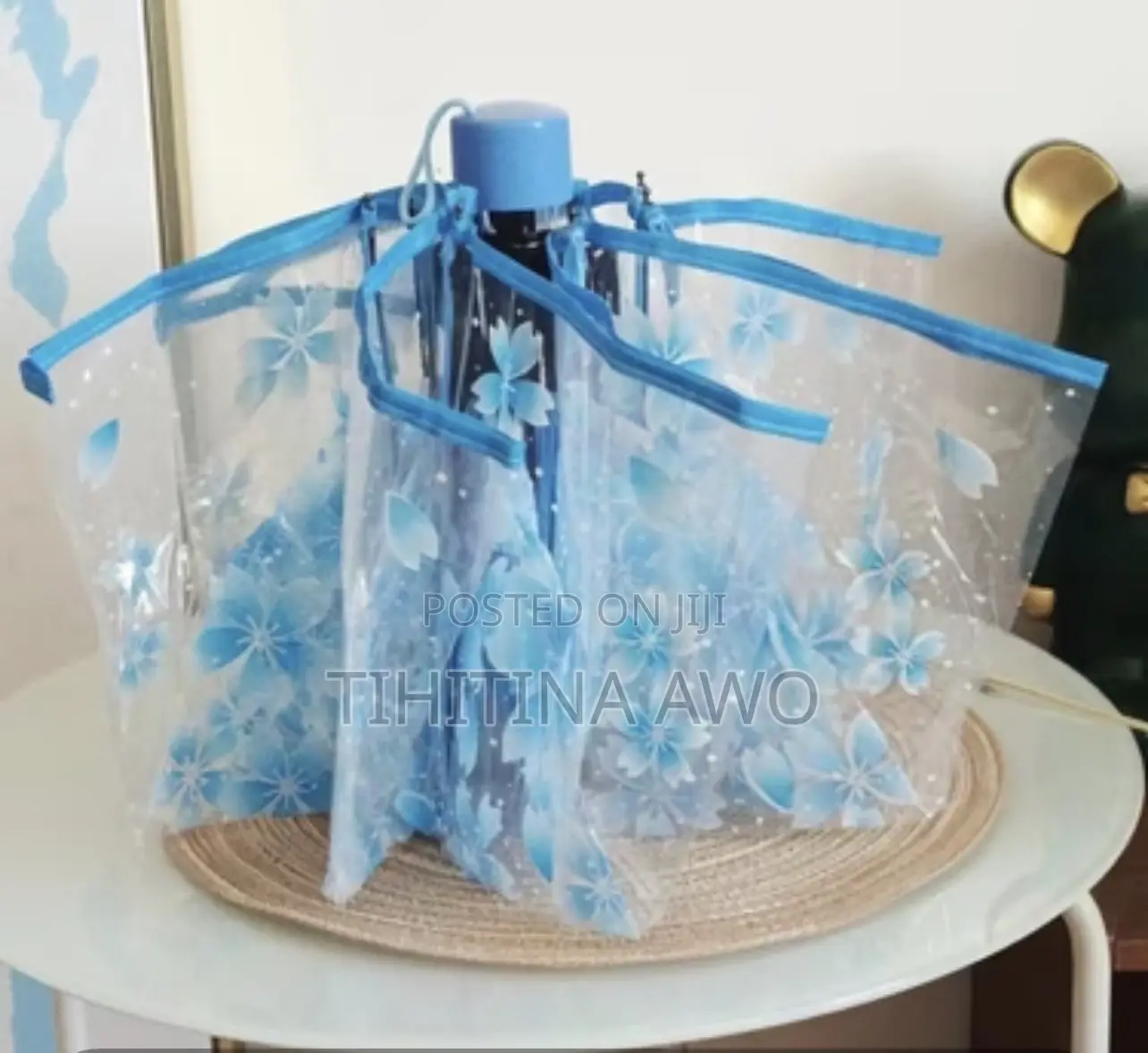 Transparent Umbrella
