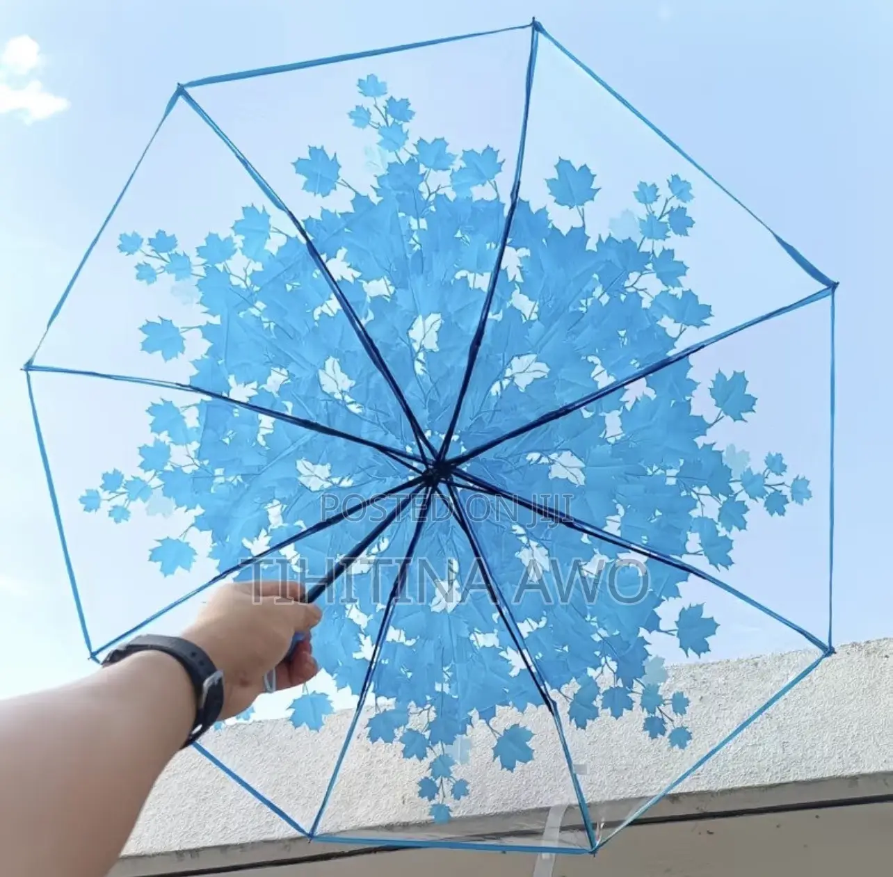 Transparent Umbrella