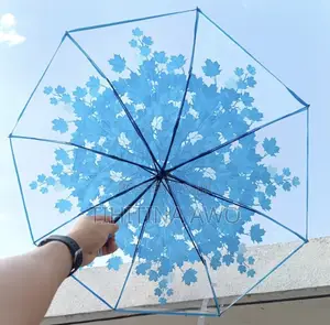 Transparent Umbrella