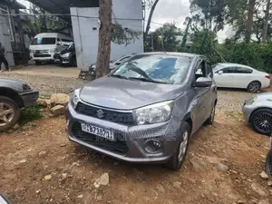 Suzuki Celerio 2021 Silver