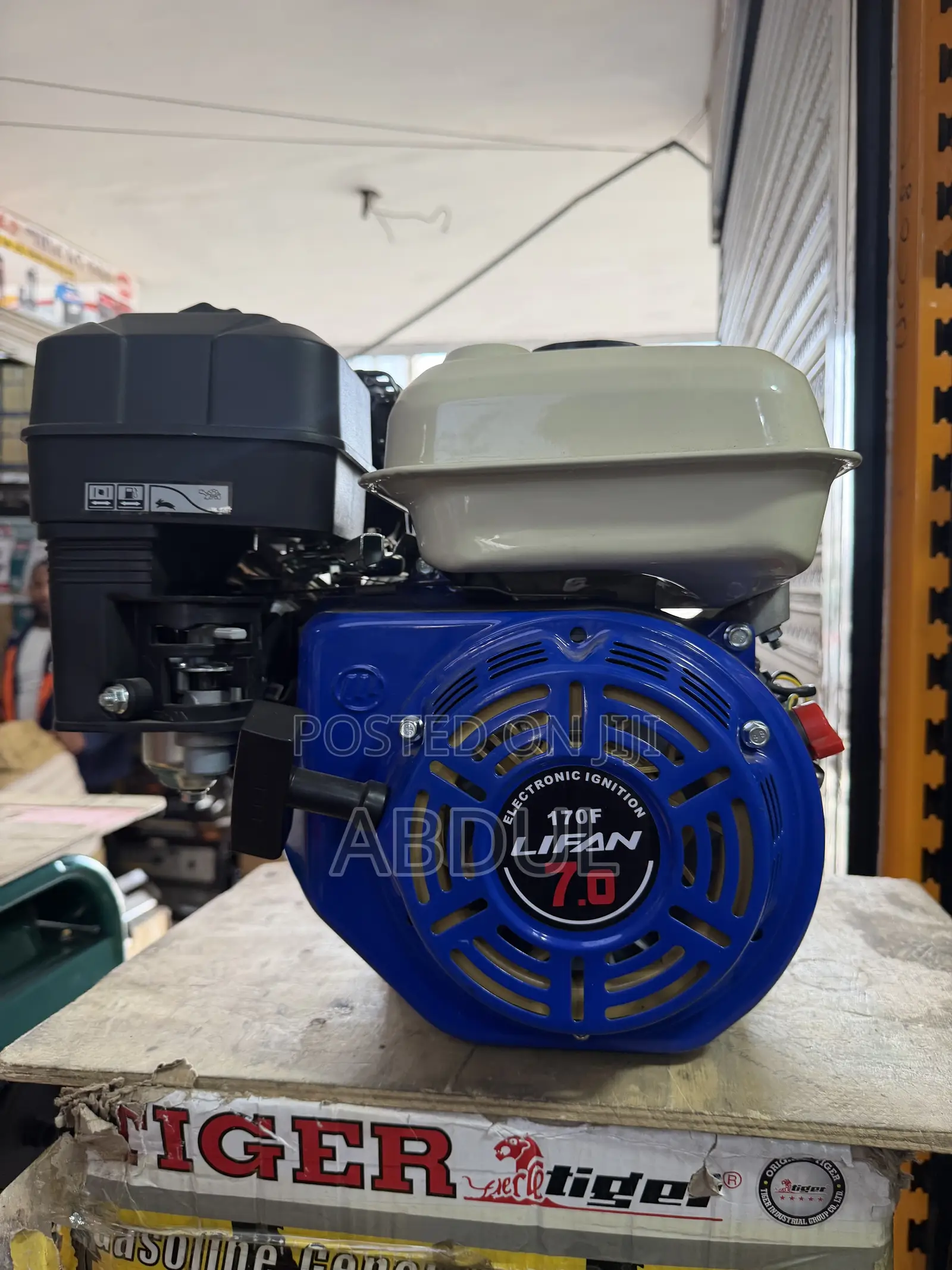 LIFAN 170F Gasoline Engine