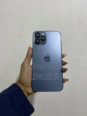 Apple iPhone 12 Pro Max 256 GB Blue