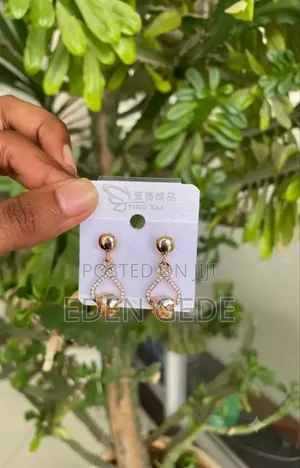 Earrings Jewelry