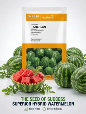 Watermelon Seed