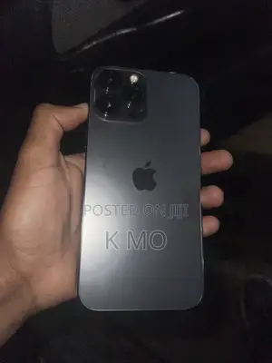Apple iPhone 13 Pro Max 256 GB Black