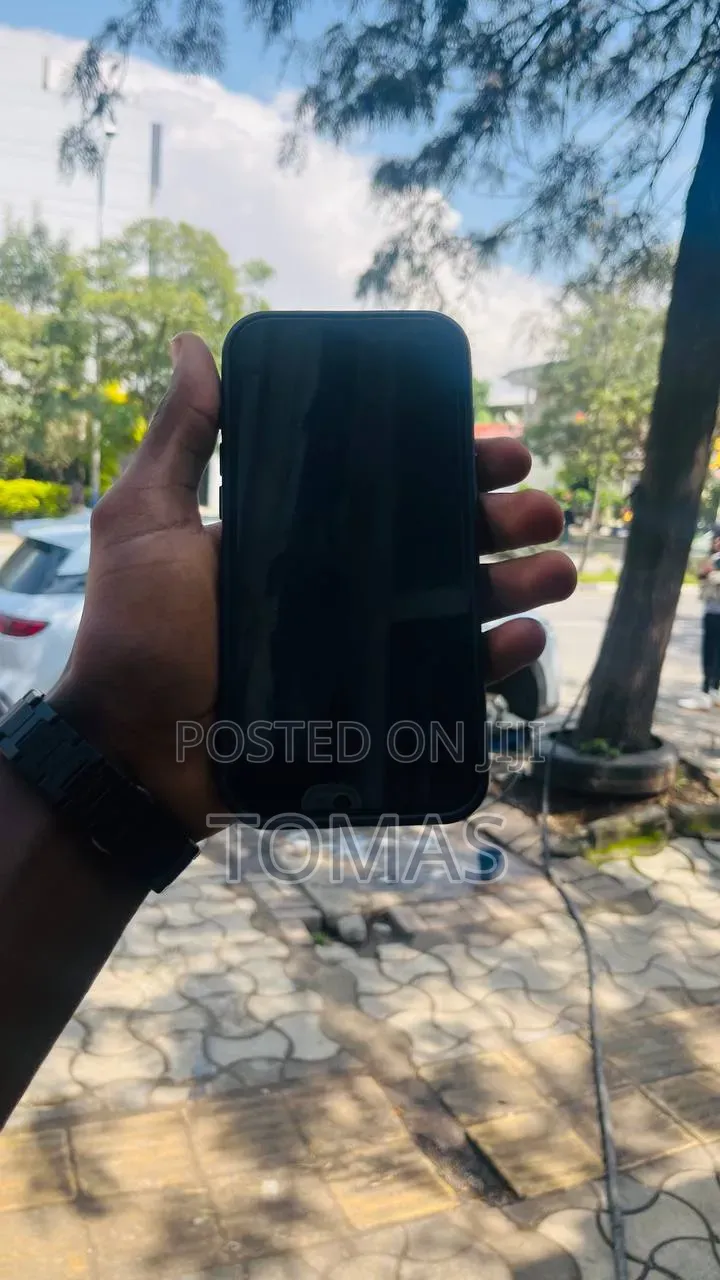Apple iPhone 16 Pro Max 256 GB Rose Gold