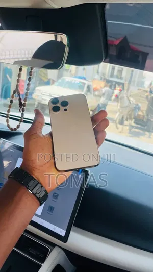 Apple iPhone 16 Pro Max 256 GB Rose Gold