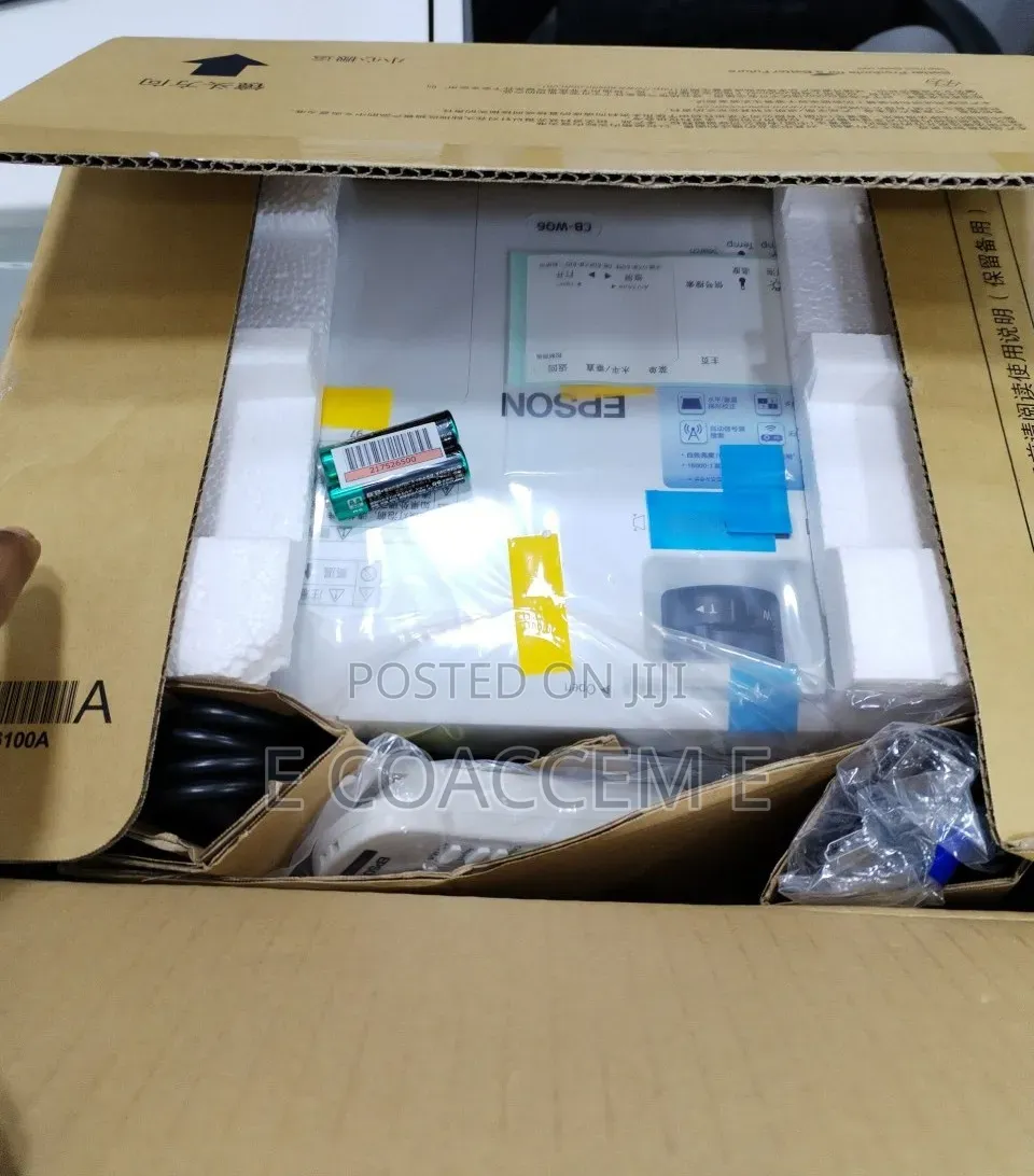 Epson Projector Packed