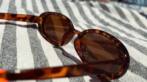 Leopard Brown Sunglasses With Fair Price