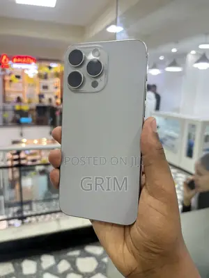 Apple iPhone 15 Pro Max 256 GB Silver