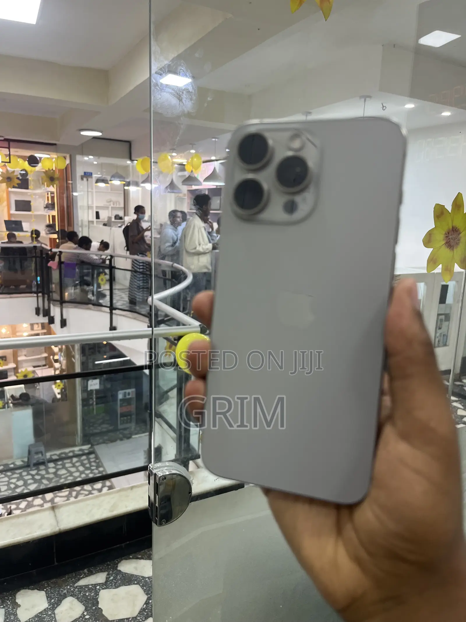 Apple iPhone 15 Pro Max 256 GB Silver