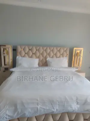 Furnished 10bdrm House in G+3, Bole for rent