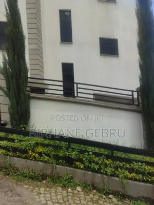 Furnished 10bdrm House in G+3, Bole for rent