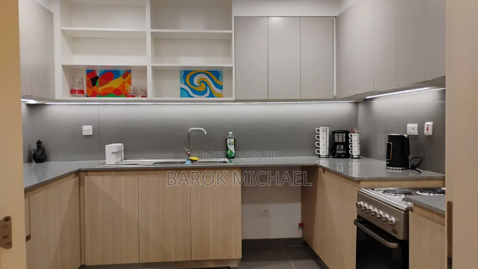 Furnished 3bdrm Apartment in Eagle Hills (One, Lideta for rent