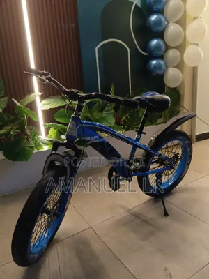 Bike for Men