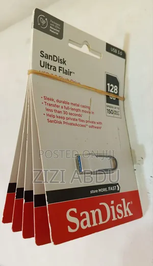 Flash Disk